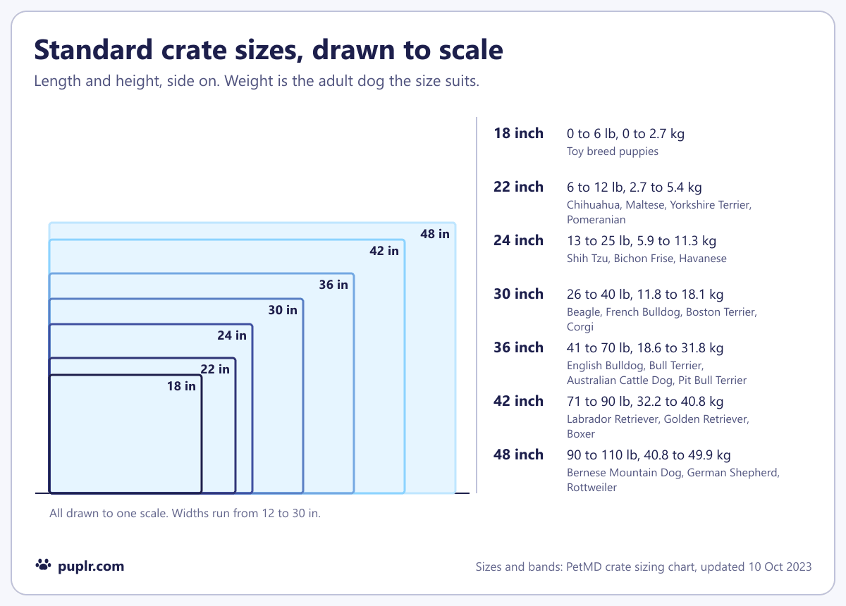 The seven standard crate sizes drawn to scale, from 18 inch (18 by 14 inches) to 48 inch (48 by 32 inches), each with the adult weight it suits, from up to 2.7 kg to 49.9 kg.